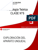 Clase 6 Exploración Del Aparato Ungueal