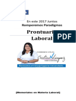 Prontuario Laboral