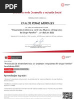 Certificado Violencia