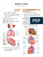 Anatomia Cardíaca