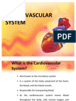 Cardiovascular System