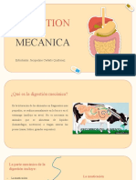 Digestion Mecanica