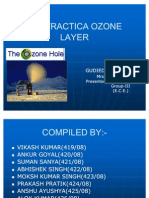 Case Study On Ozone Layer