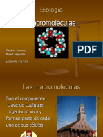 Macromoleculas