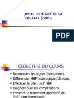 01 Hypertrophie Benigne de La Prostate Hbp.