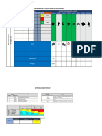 Determinacion Norma 017 STPS