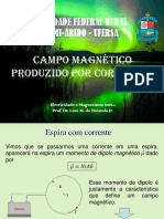 Campo Magntico Produzido Por Correntes