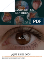 Órganos de Los Sentidos