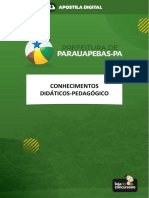 Conhecimentos Didáticos-Pedagógico