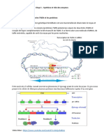 Chap 3 - Synthèse Et Rôle Des Enzymes PDF