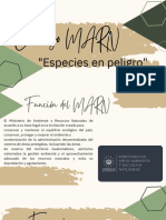 MARN (Especies en Peligro)