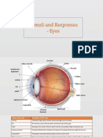 Science - Part of The Eye - RUPHAA