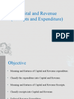 Capital and Revenue Expenditure