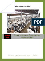 Étude Technico-Économique Ferme Bovine