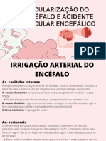 Vascularização Do Encéfalo E Acidente Vascular Encefálico: Monitores: Raívson Diogo e Yarley Leitão