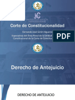 Derecho de Antejuicio Fernando Girón PDF