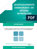 Desenvolvimento Embrionário Do Sistema Reprodutor