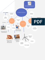 Mapa Conceptual de Termoterapia