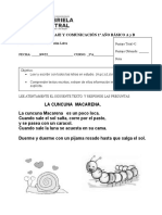 Prueba Lenguaje Segundo Semestre Primero Basico