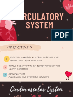 Circulatory System