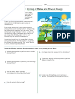 Photosynthesis Cycling of Matter and Flow of Energy