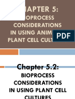 Bioprocess Consideration Using Plant Cell Cultures