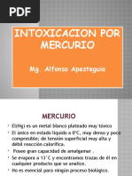 Intox Por Mercurio Untecs