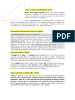 Instituciones de Protección A Los Derechos Humanos Ante La Onu