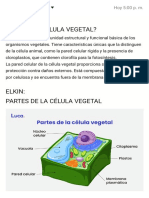 Exposición de La Célula Vegetal