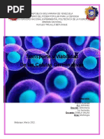 Morfología Enfermeria - Transporte y Viabilidad de Las Celulas Germinativas