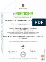 Diploma Especializacion PDF