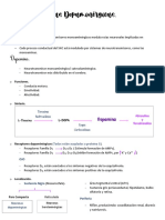 Vías Dopaminérgicas