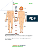 Anatomia y Fisioligia