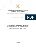 Tese - 10564 - Dissertação AmandaFinal PDF