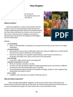 WORKBOOK - Plant Phyla PDF