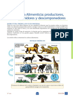 Cadena Alimenticia - Productores, Consumidores y Descomponedores PDF