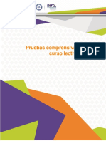 Pruebas Comprensivas en El Curso Lectivo 2023. v4 PDF