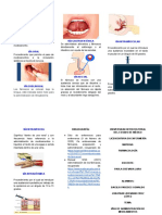 Documento Sin Título