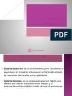 Sistema Endocrino PDF