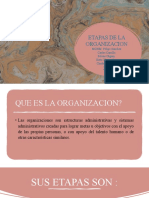 Etapas de La Organizacion