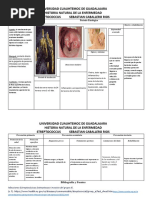 Sebastian Caballero HISTORIA NATURAL DE LA ENFERMEDAD Strepptoccus