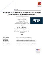 These CARAYRE PDF