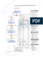 Algoritmos ACLS PDF