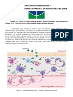 Imunologia - Exercício de Aprendizagem 2 2-2020