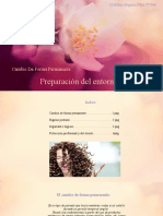 Cambio de Forma Permanente Trabajo PDF