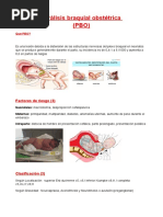 Parálisis Braquial Obstétrica (PBO) : Factores de Riesgo