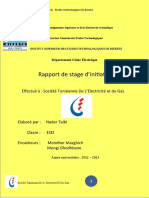 Rapport de Stage D'initiation