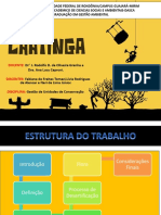 Caatinga 141009091642 Conversion Gate01 PDF