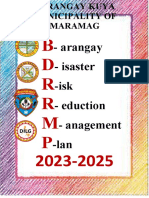 BDRRMP 2023-2025 Template