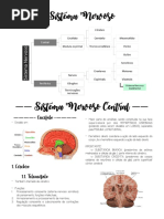 SNC e SNP - Anatomia Humana PDF